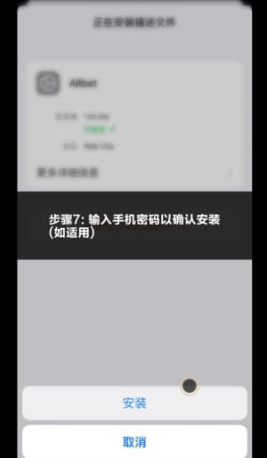 欧博ios应用安装步骤图示7